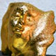 Premio Amigo